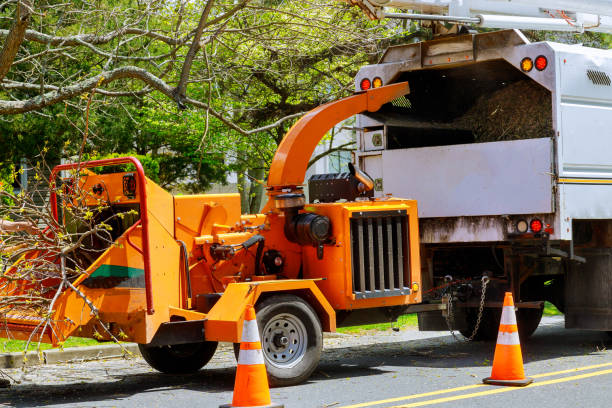 Best Tree and Shrub Care  in Anna, TX